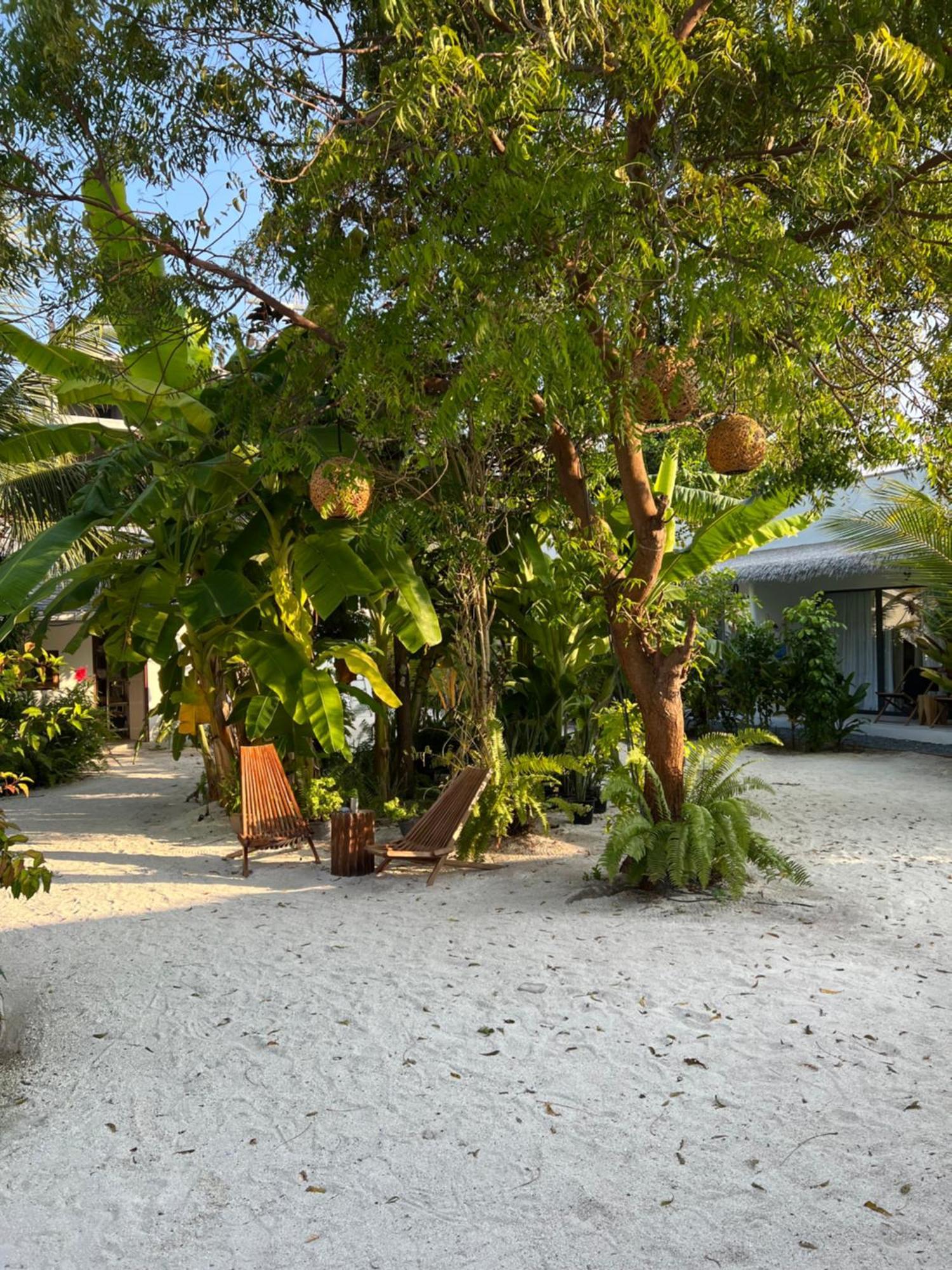 Coco Villa Thoddoo Eksteriør bilde